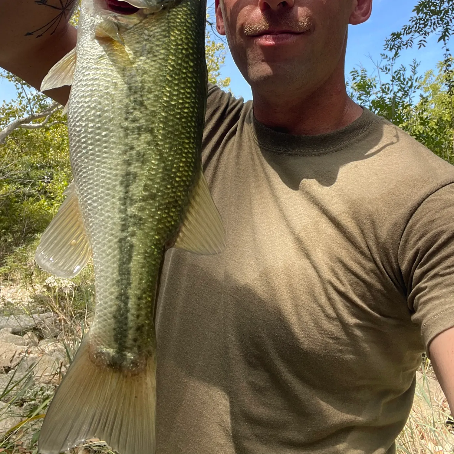 Largemouth bass caught on Fishbrain