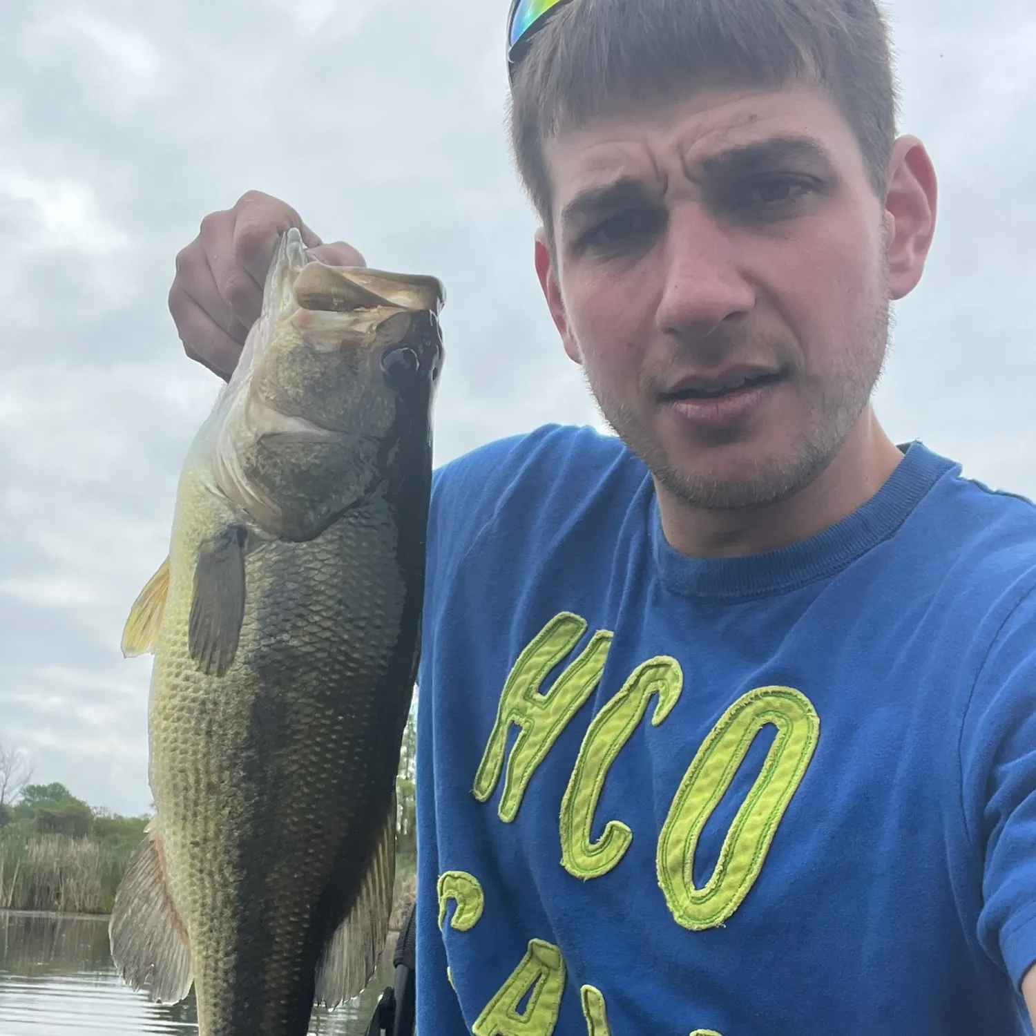 Fish caught on Fishbrain