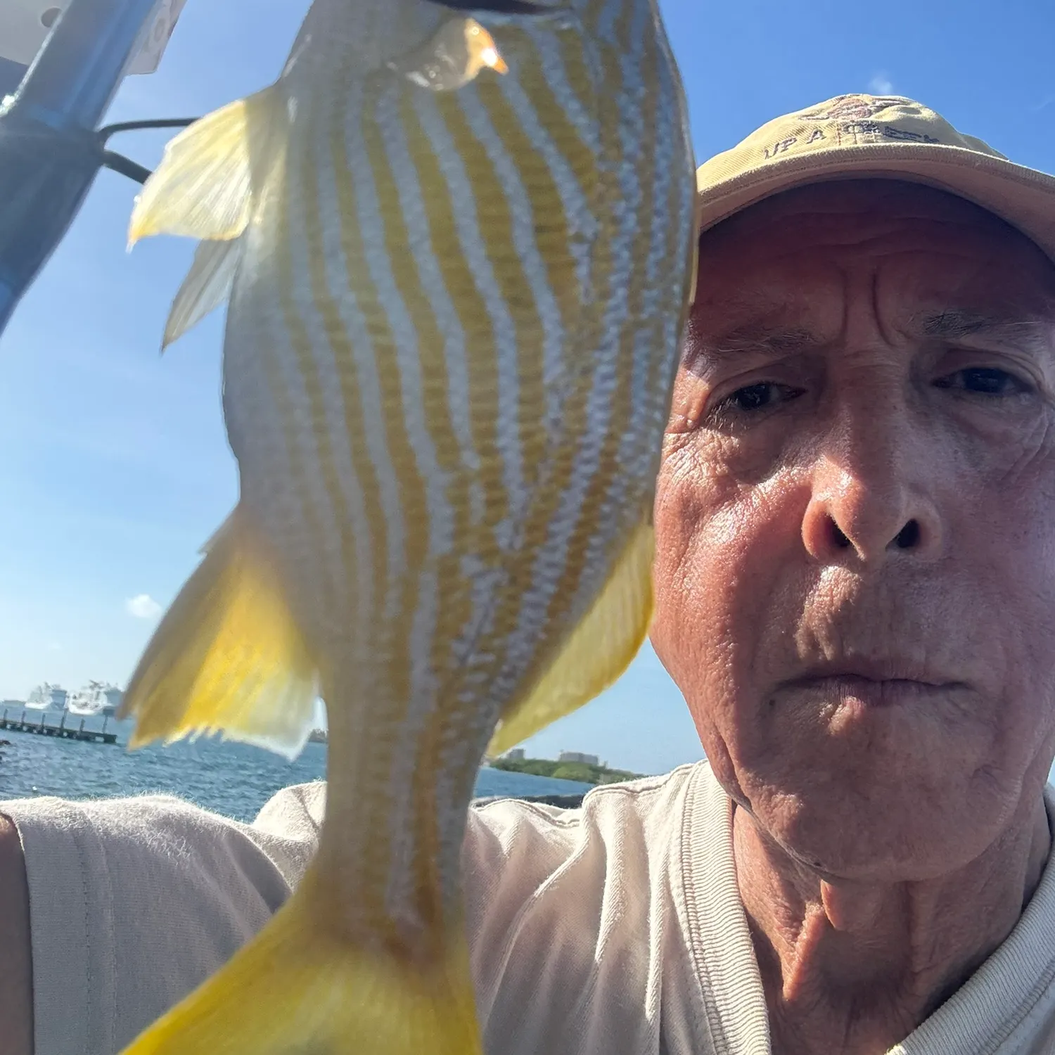 The most recent Atlantic porkfish catches on Fishbrain