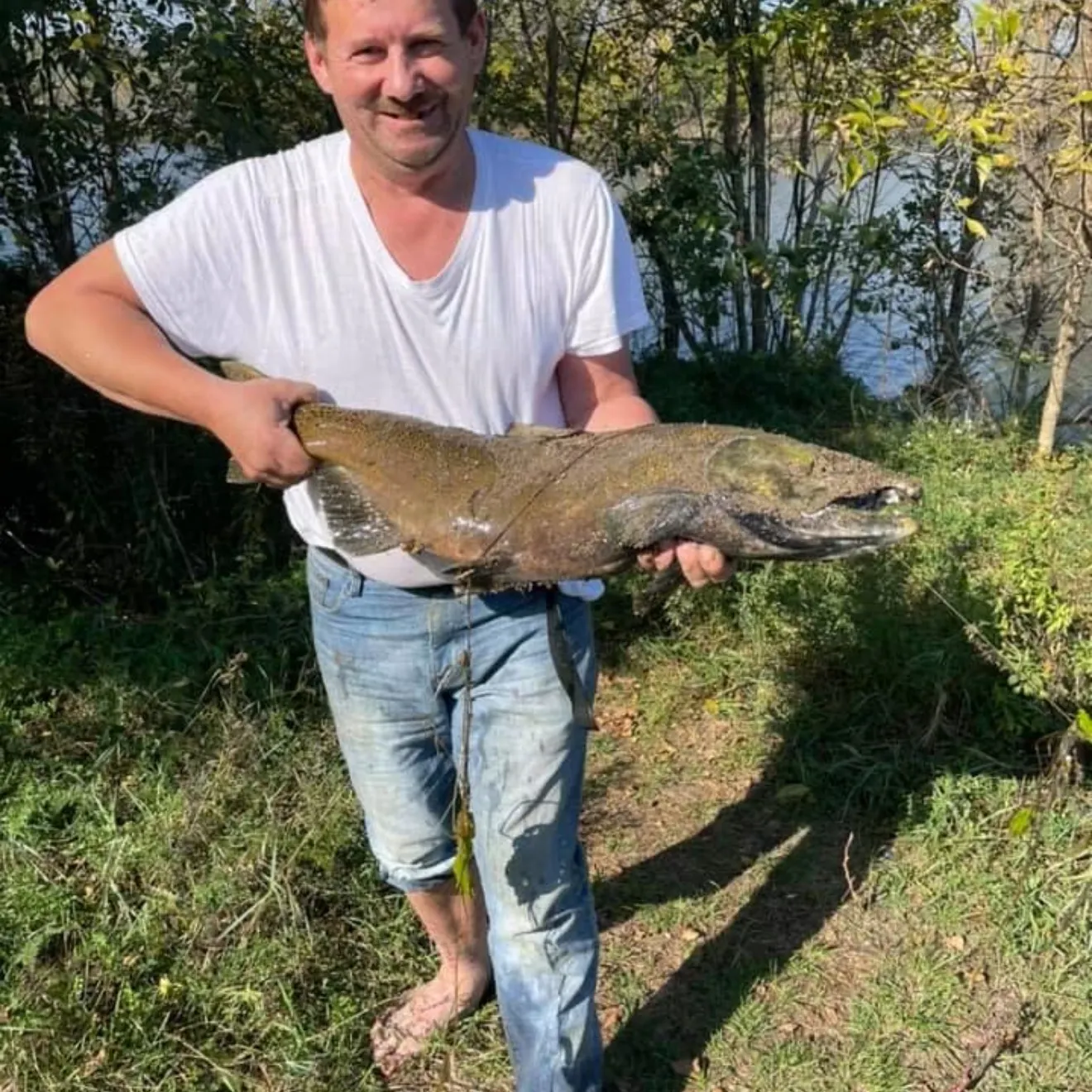 Chinook salmon caught on Fishbrain