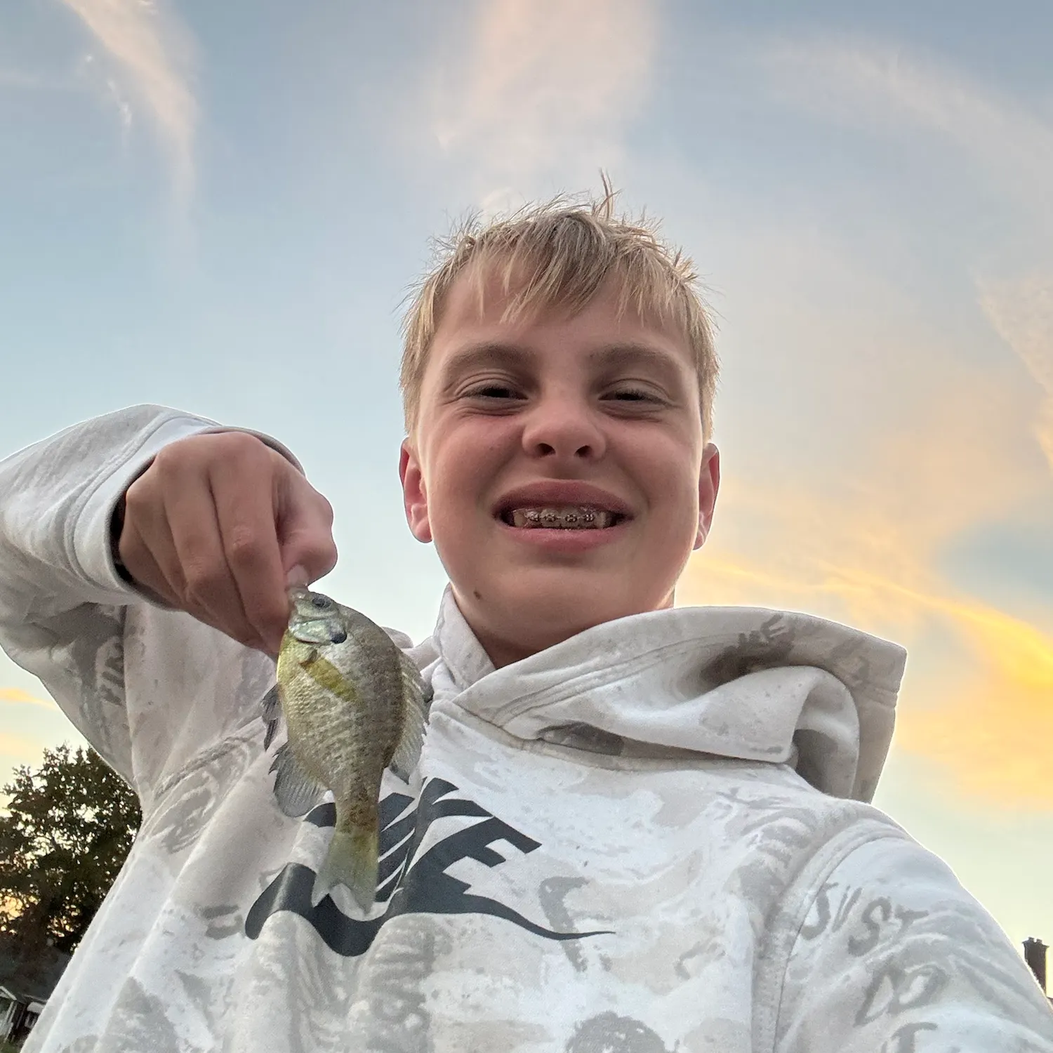 Bluegill caught on Fishbrain