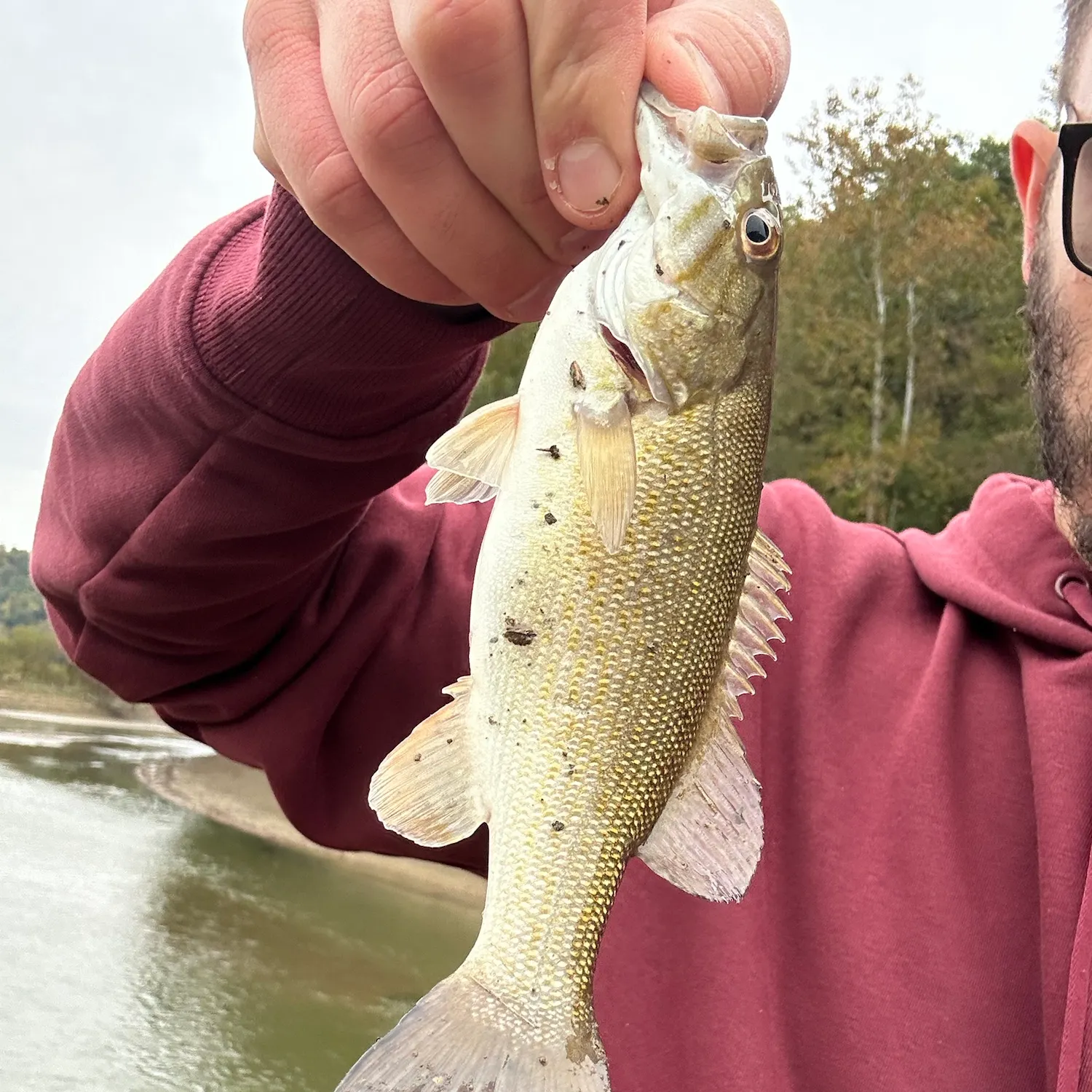 Smallmouth bass caught on Fishbrain