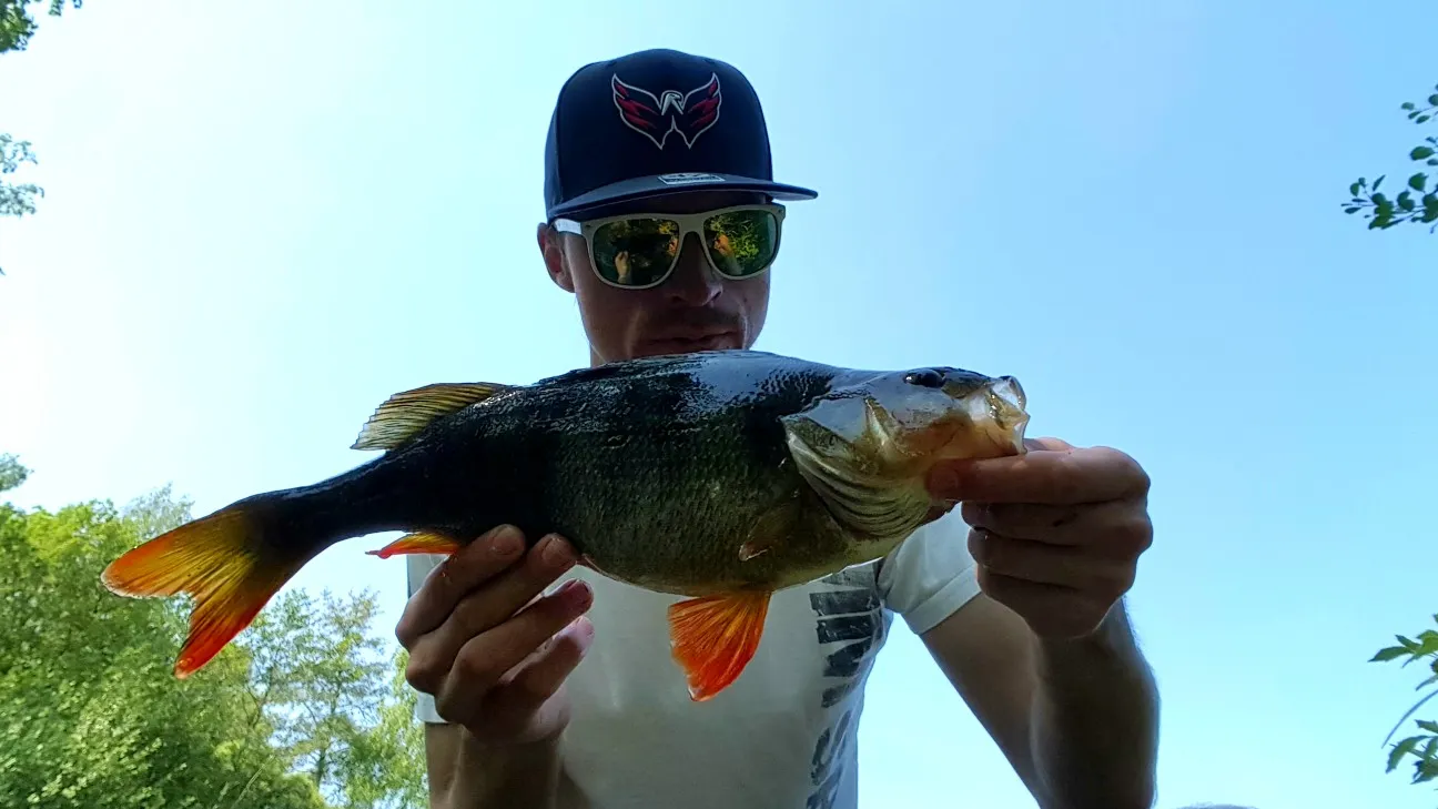 Post image from JPsson