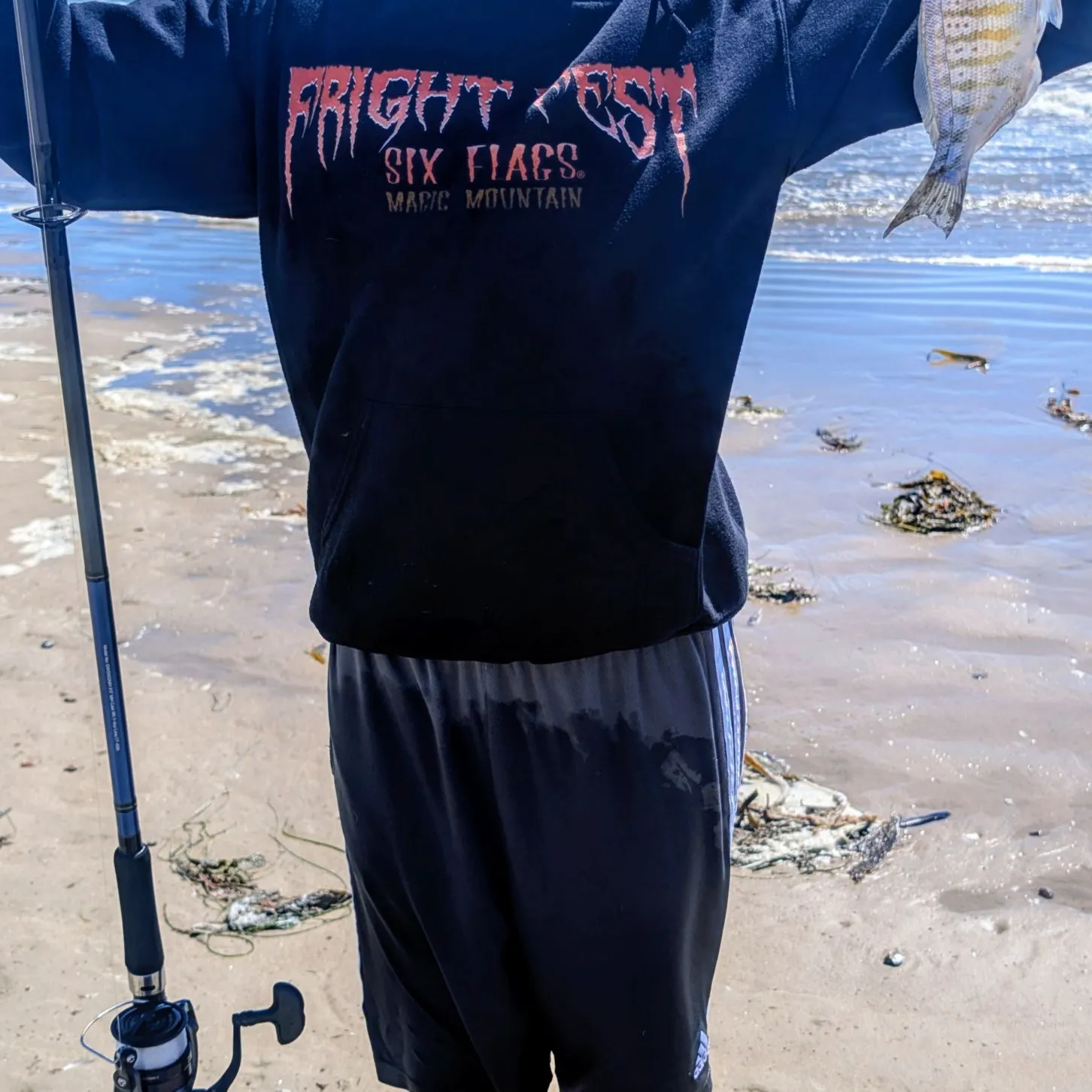 The most recent Barred surfperch catches on Fishbrain