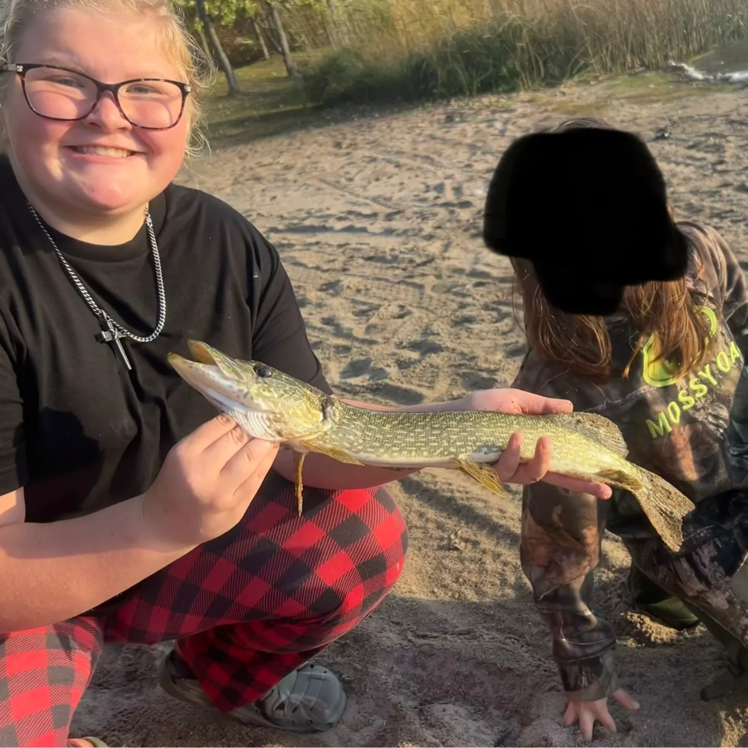 Northern pike caught on Fishbrain