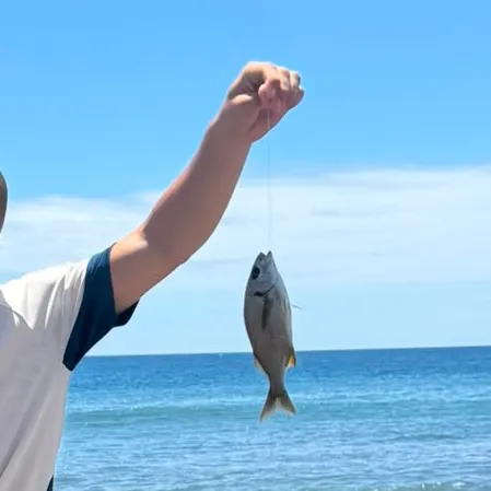 Fish caught on Fishbrain