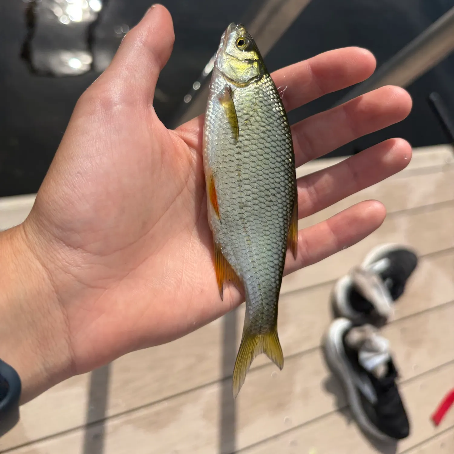 catch