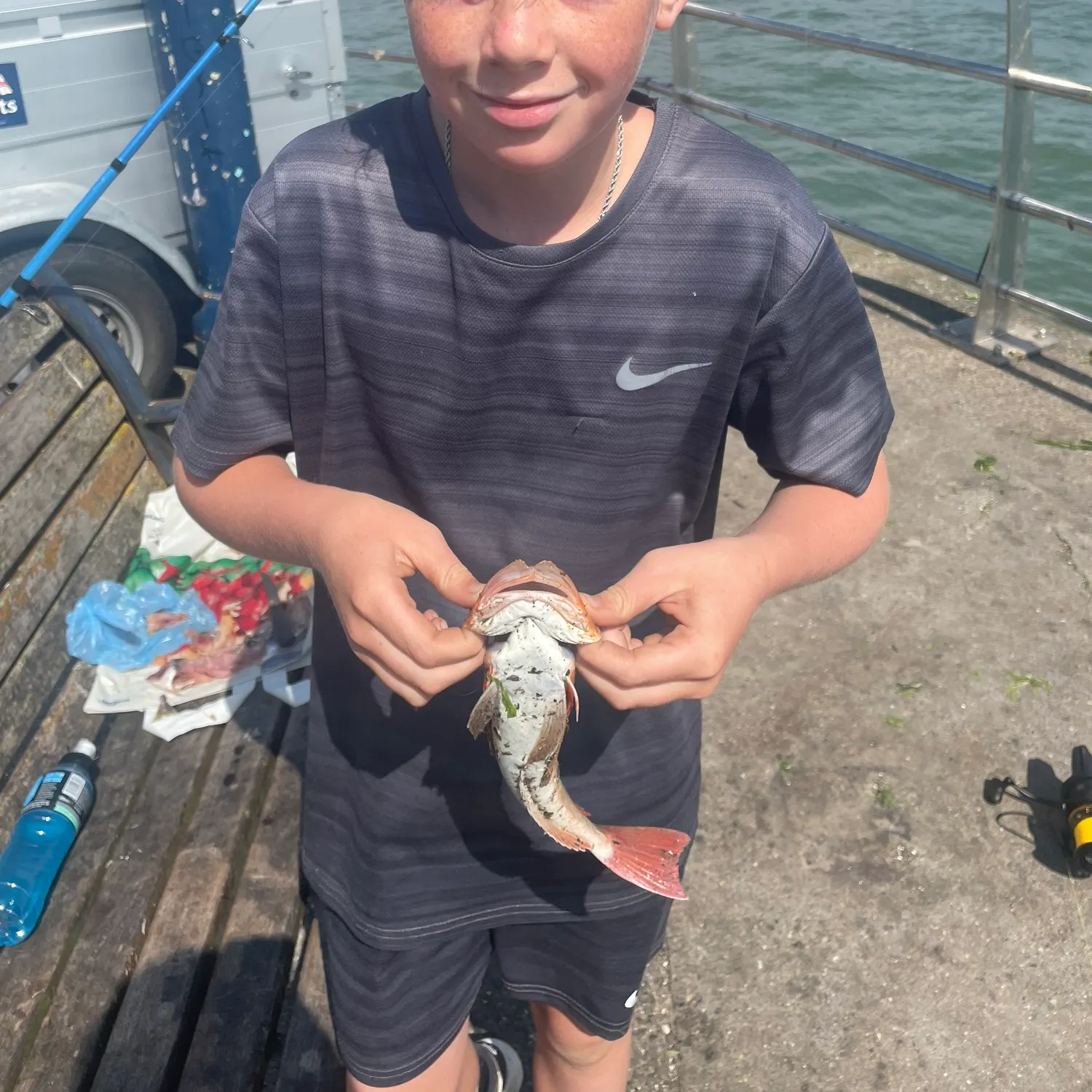 The most recent Tub gurnard catches on Fishbrain