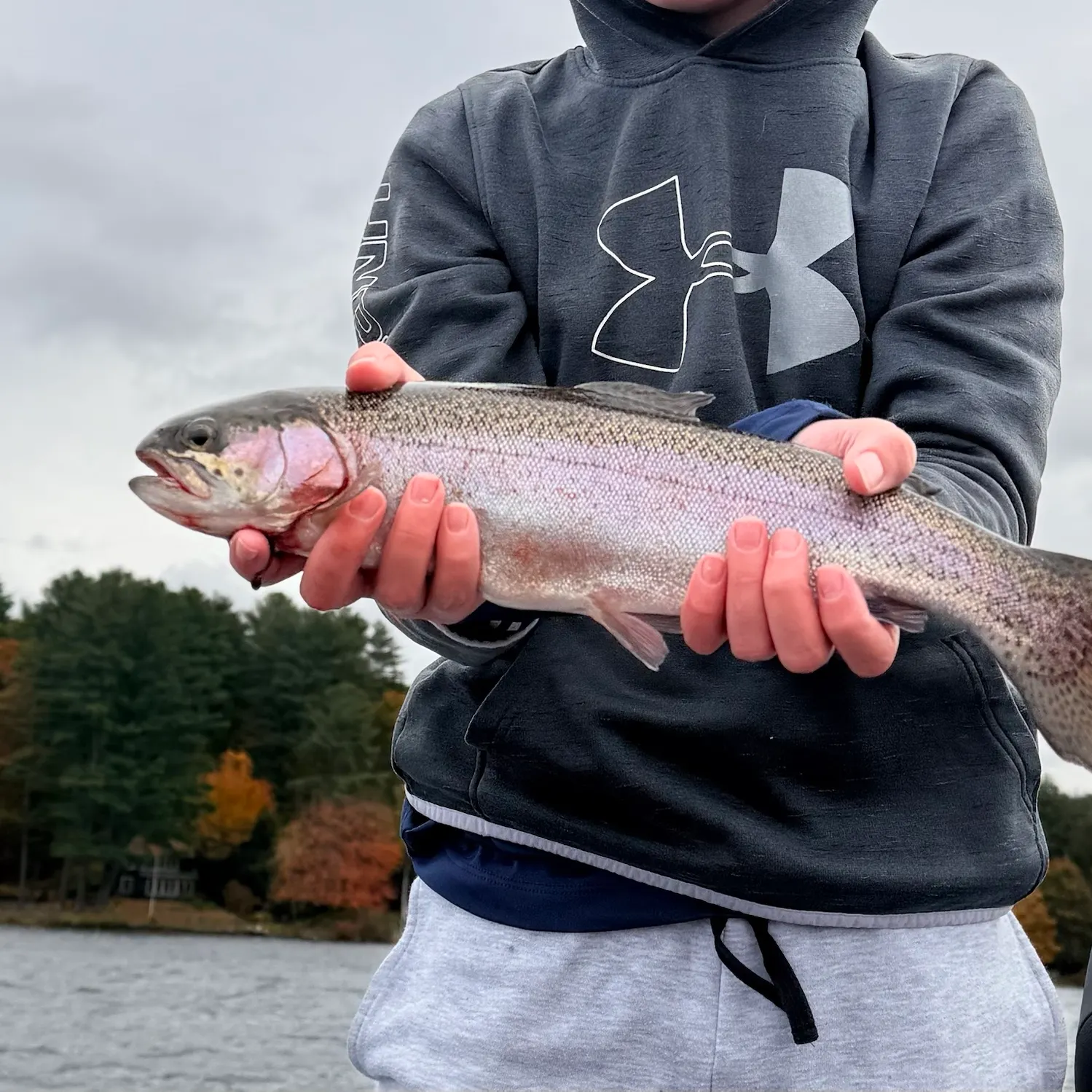 Rainbow trout caught on Fishbrain