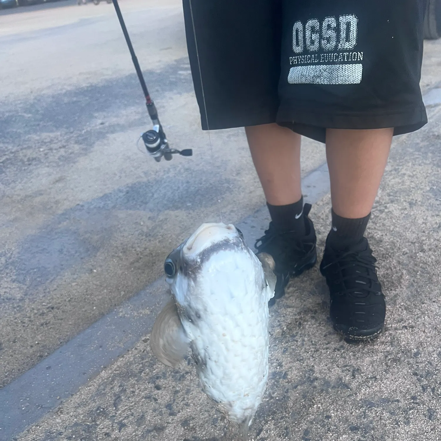 Fish caught on Fishbrain