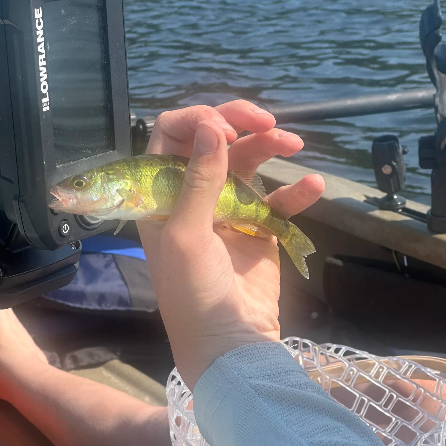 Fish caught on Fishbrain