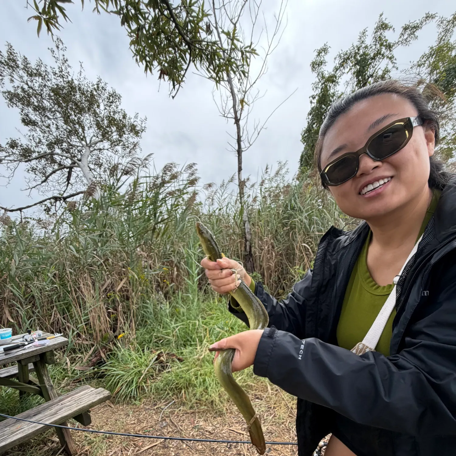 American eel caught on Fishbrain