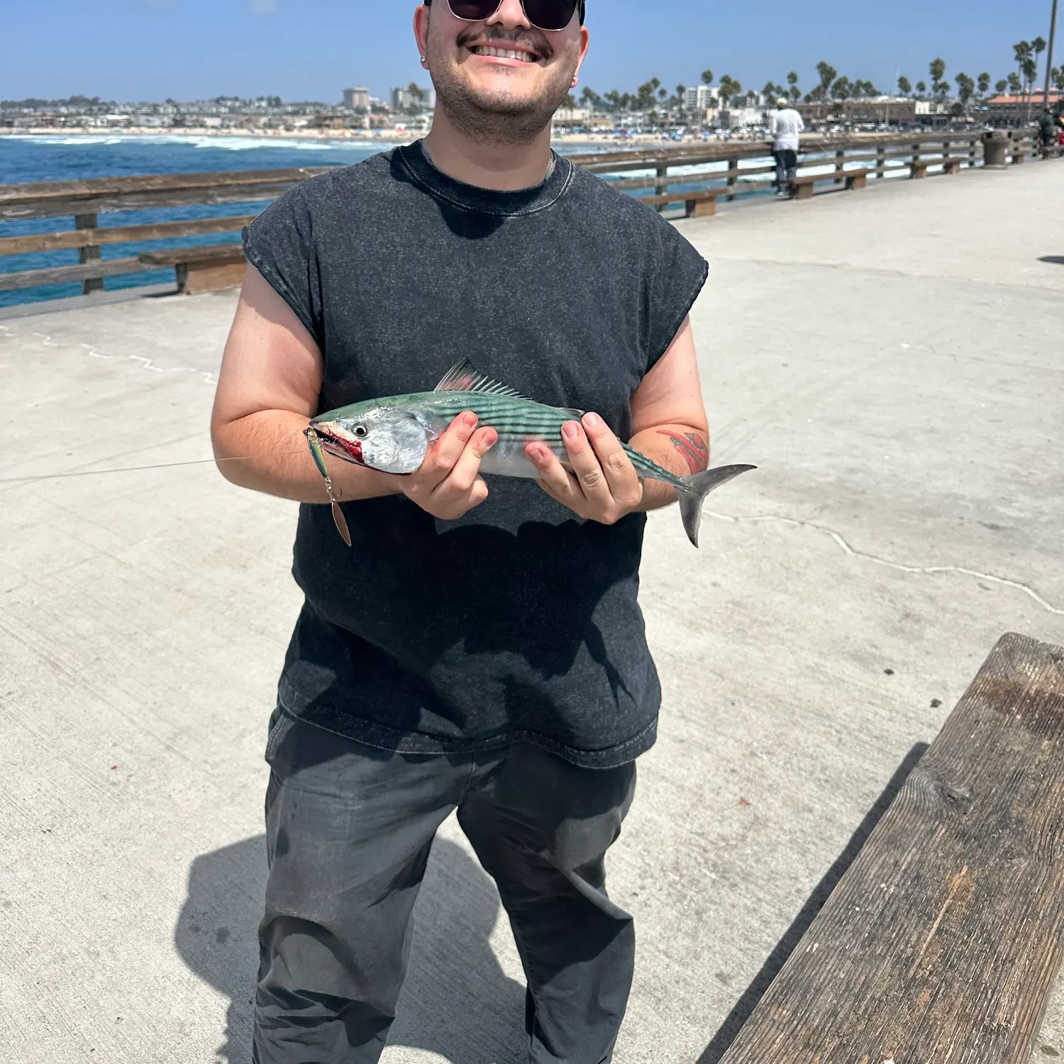 Pacific bonito caught on Fishbrain