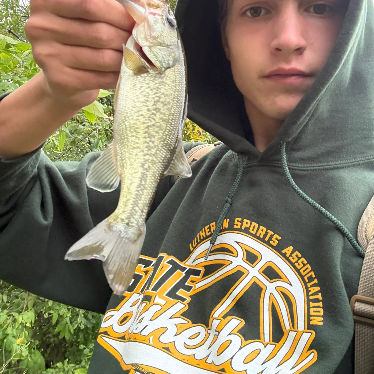 Fish caught on Fishbrain