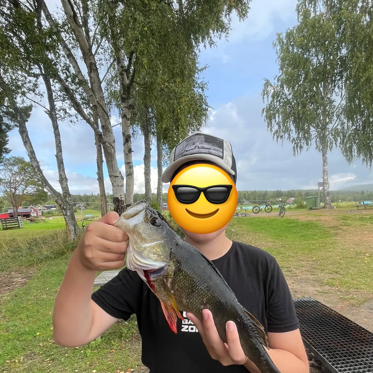 European perch caught on Fishbrain