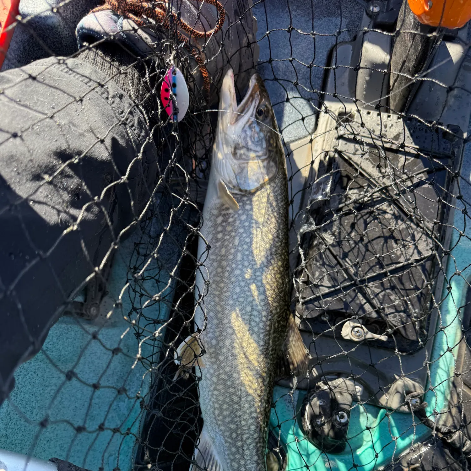 Lake char caught on Fishbrain