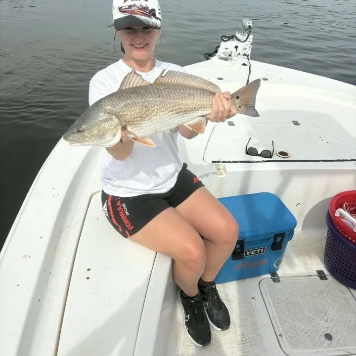 Red drum caught on Fishbrain