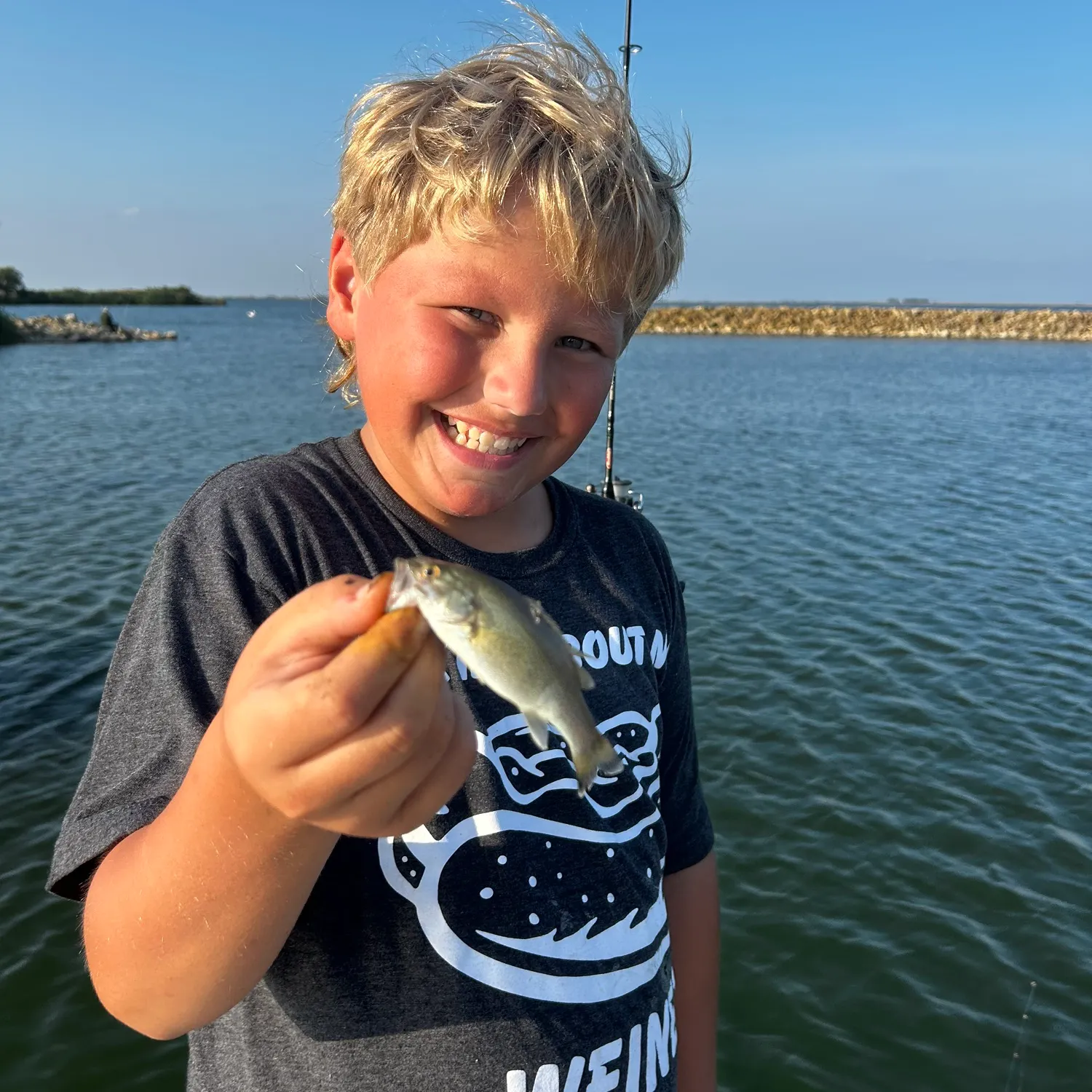 The most recent Great white shark catches on Fishbrain