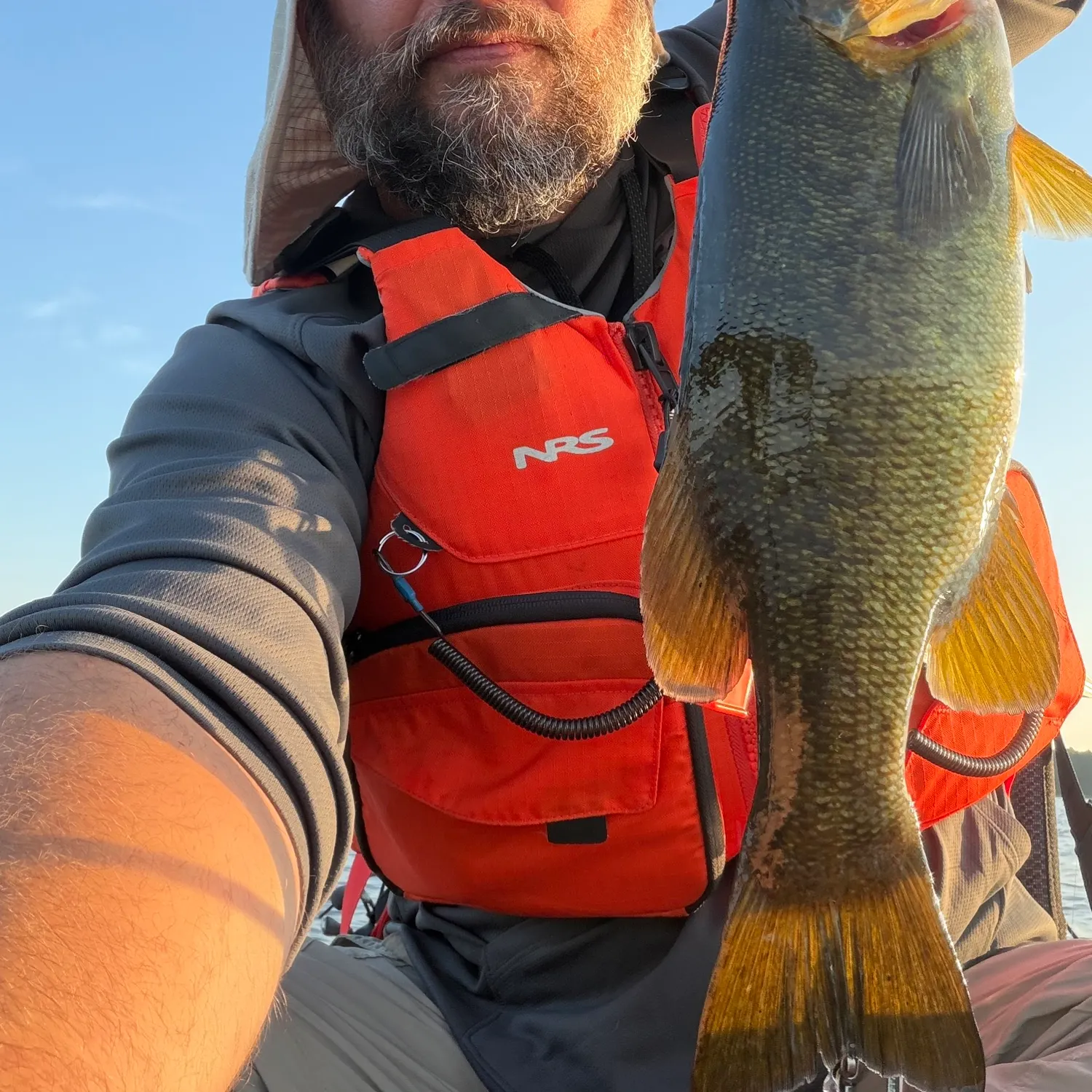 Smallmouth bass caught on Fishbrain