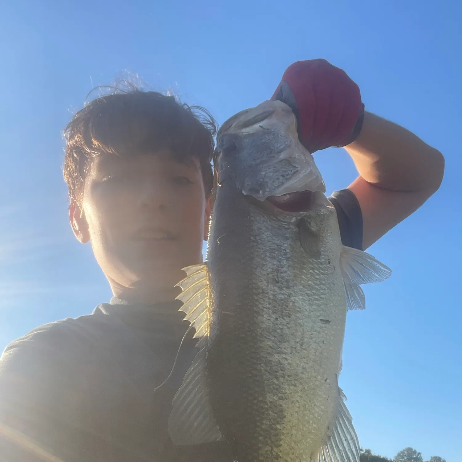 Spotted bass caught on Fishbrain