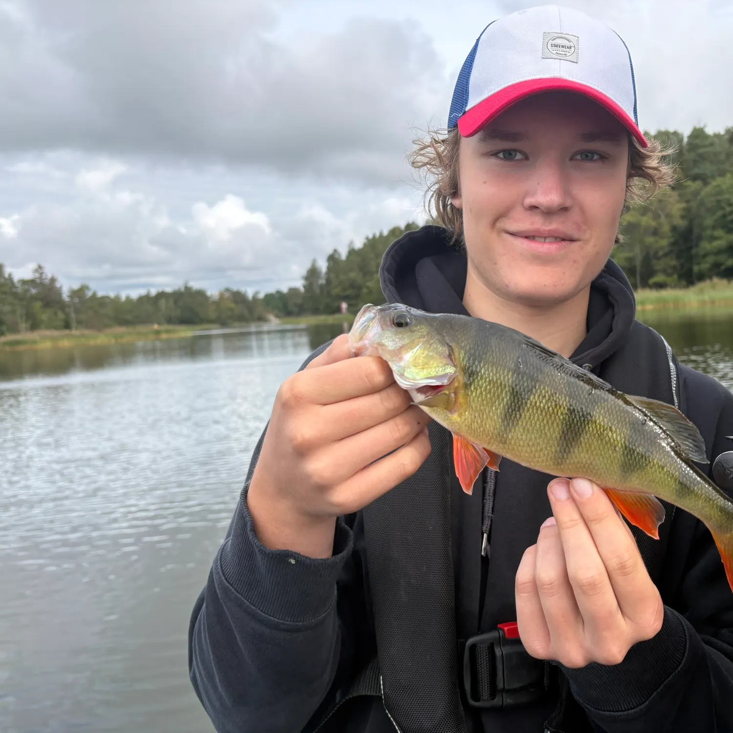 European perch caught on Fishbrain