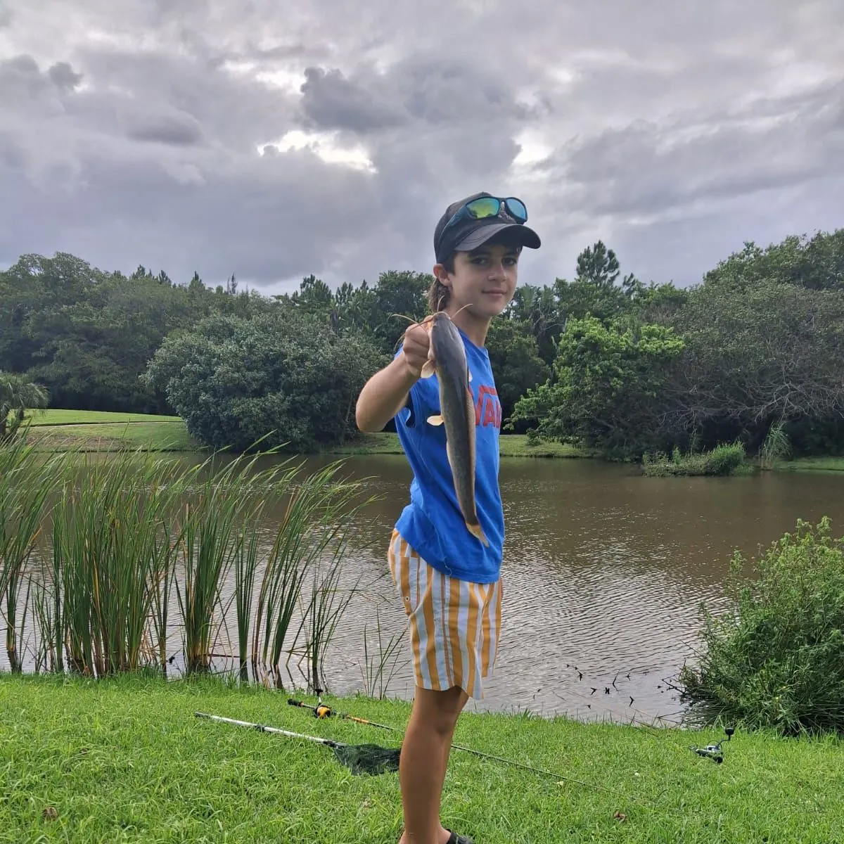 The most recent North African catfish catches on Fishbrain