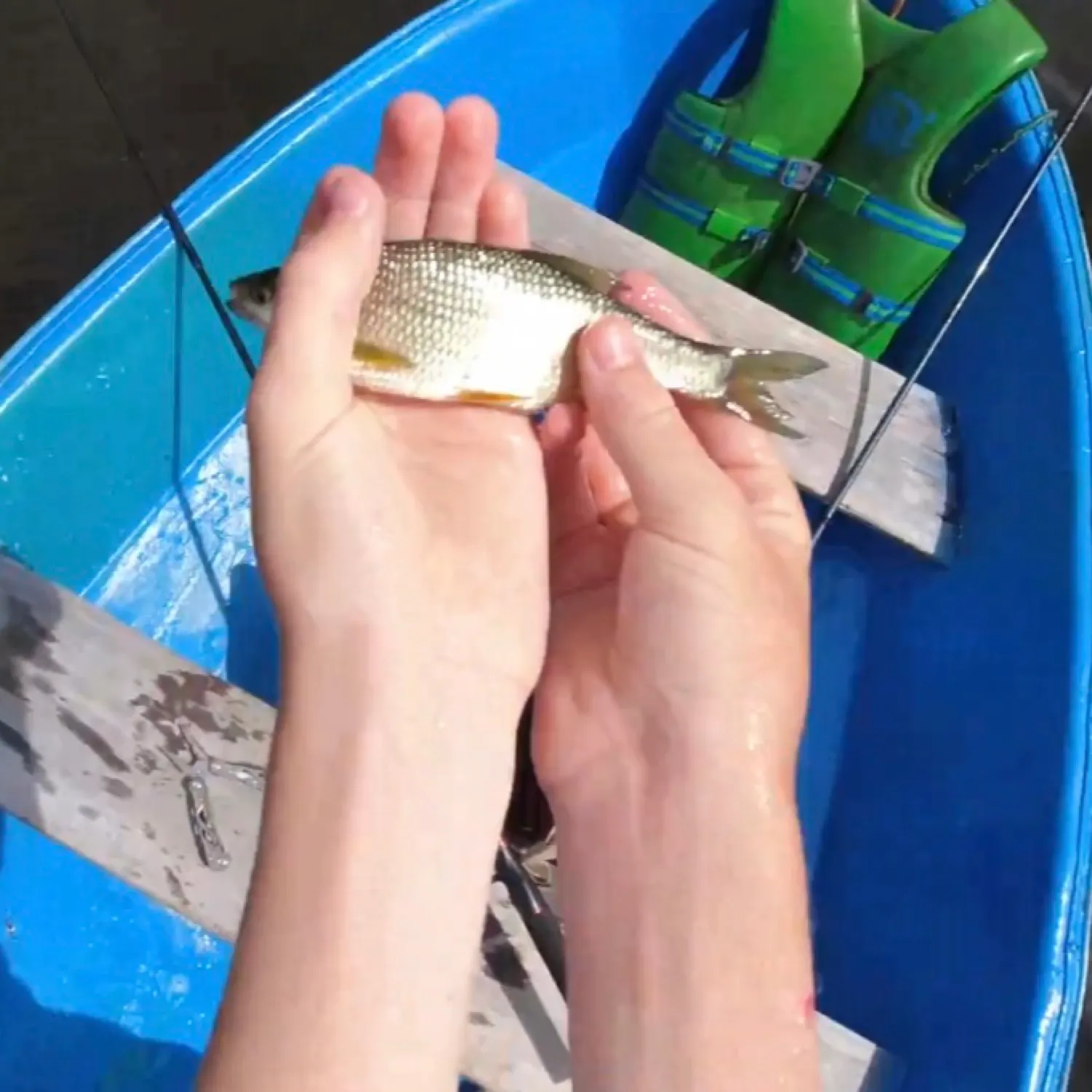catch