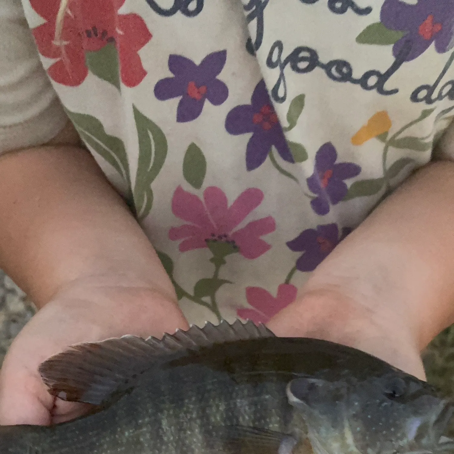 Green sunfish caught on Fishbrain