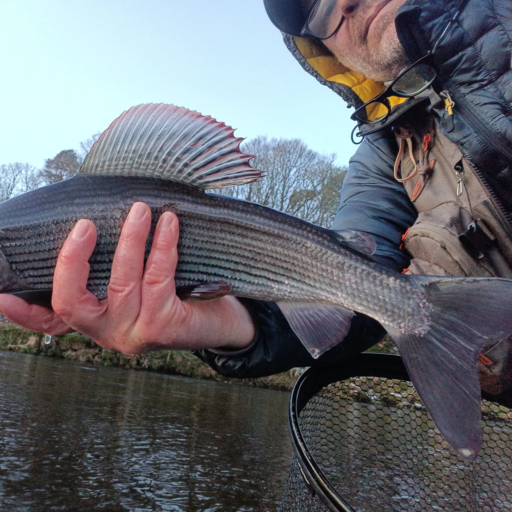 The most recent European grayling catches on Fishbrain