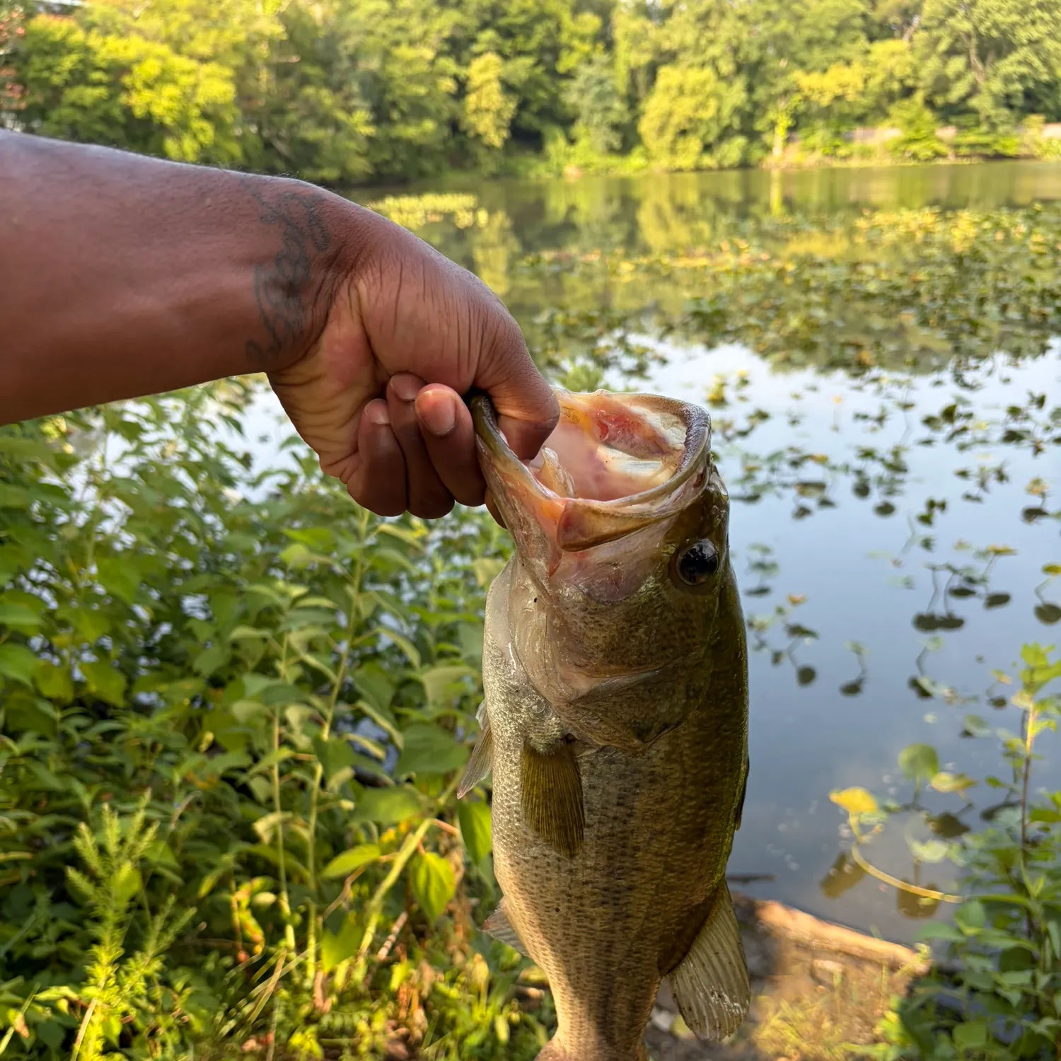 catch