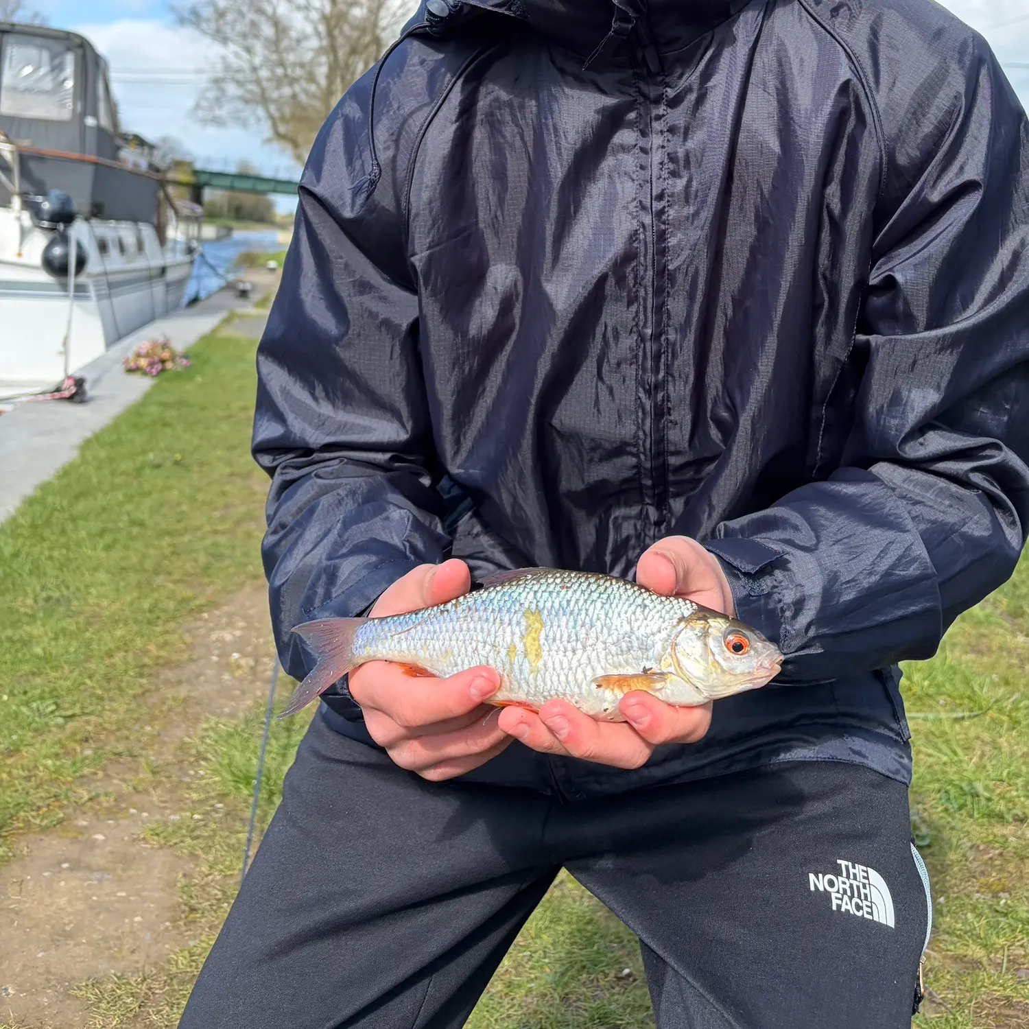 The most recent Cactus roach catches on Fishbrain