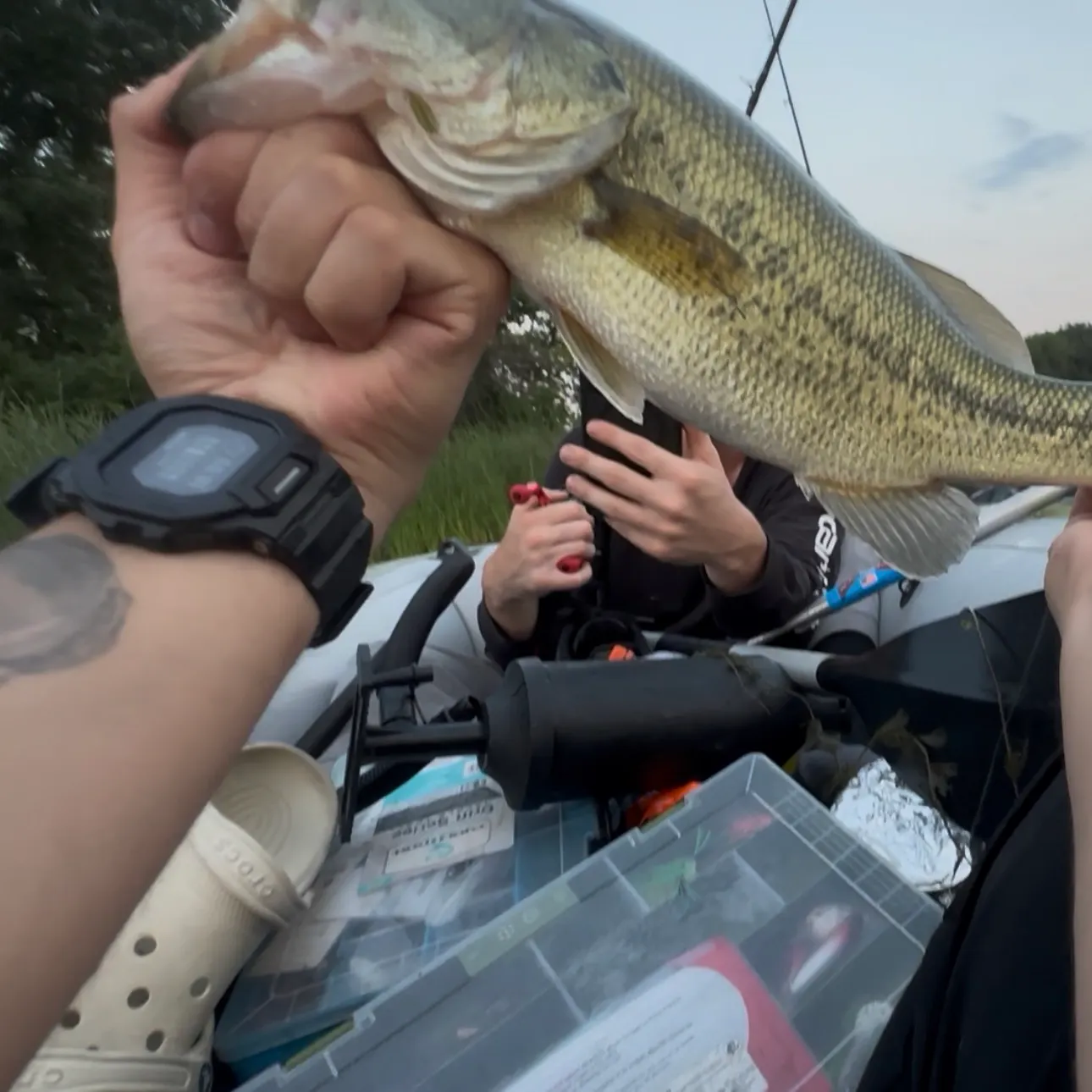 catch