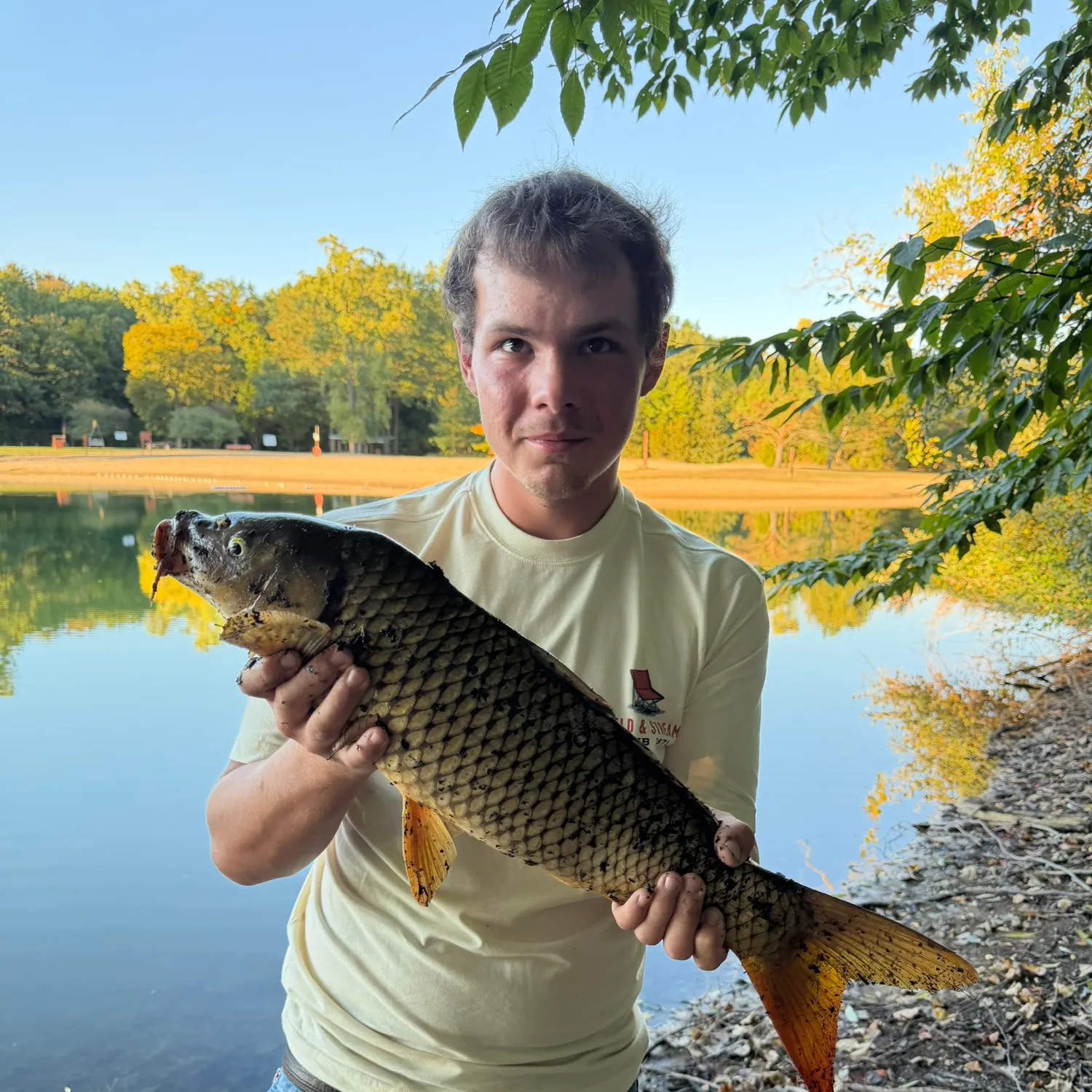 Common carp caught on Fishbrain