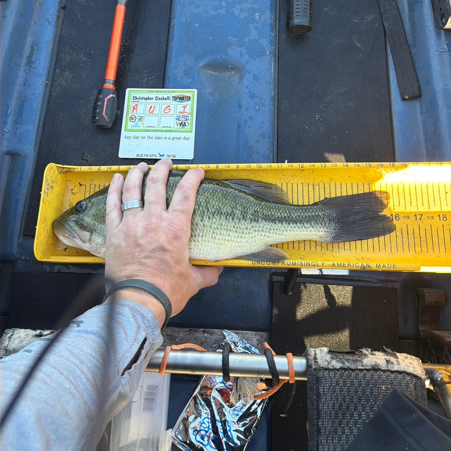 Largemouth bass caught on Fishbrain