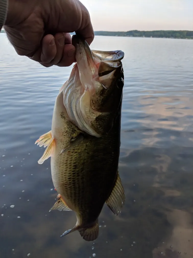 Post image from rg1993