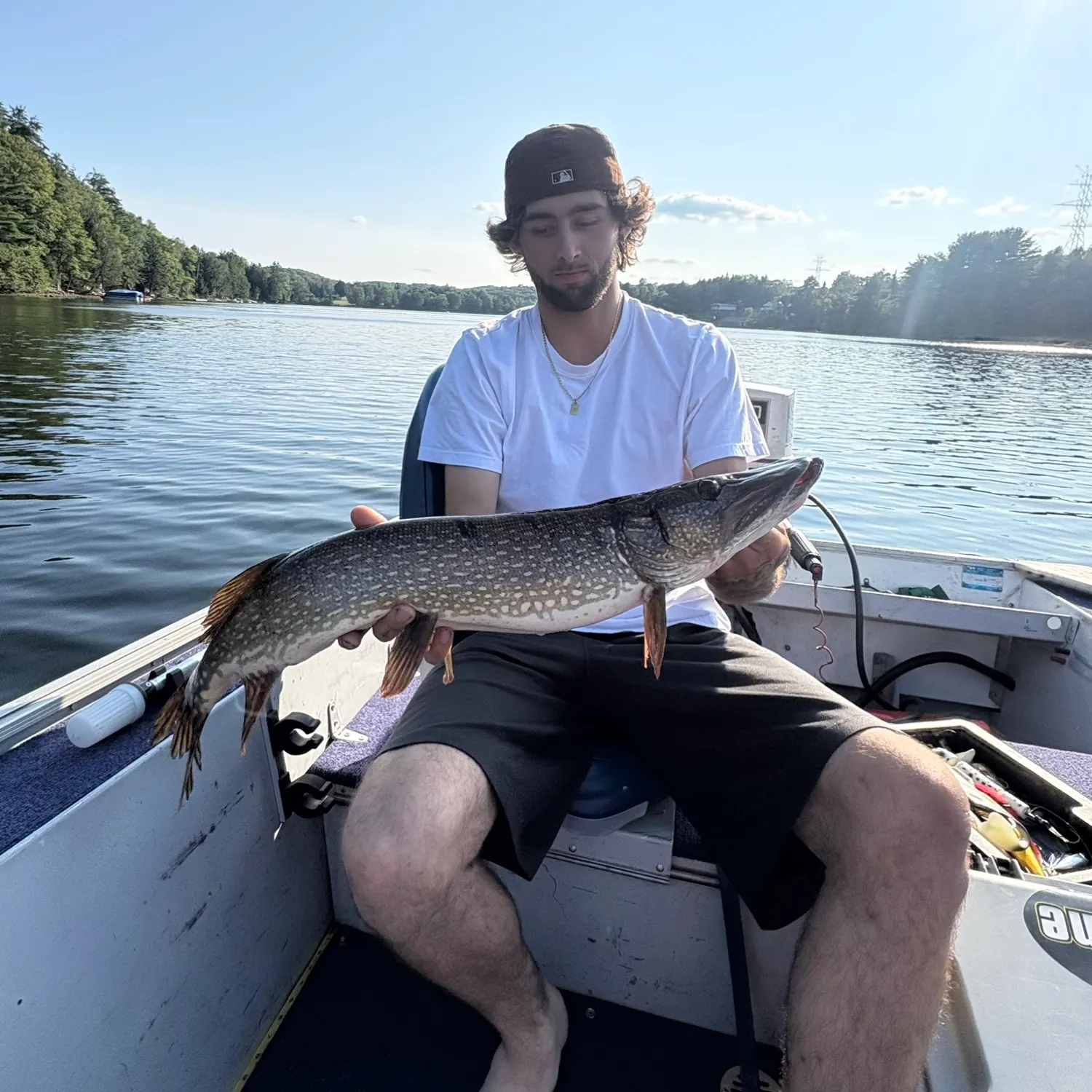 Northern pike caught on Fishbrain