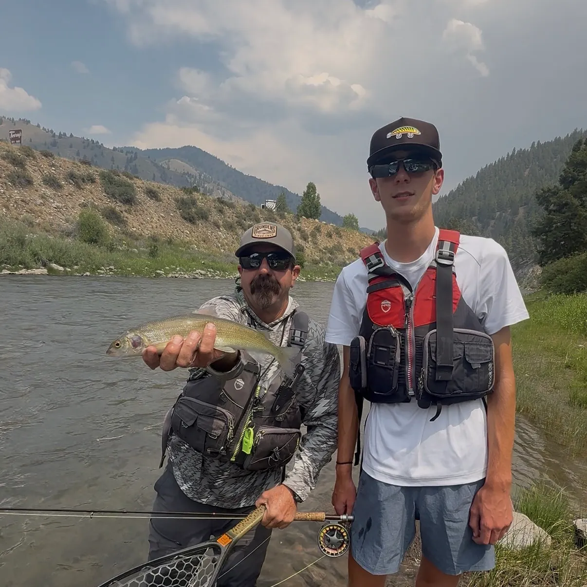The most recent Mountain whitefish catches on Fishbrain
