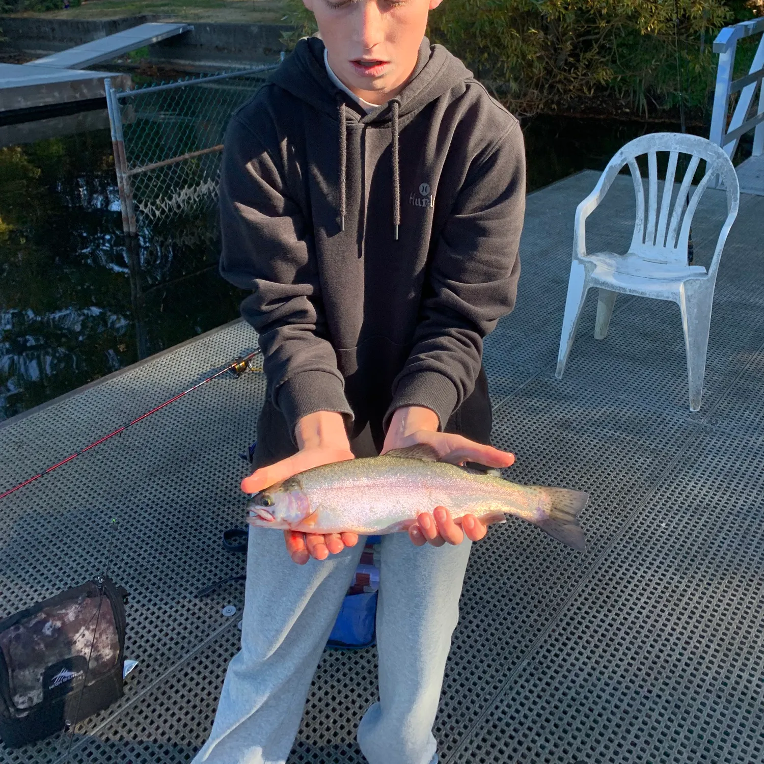 Rainbow trout caught on Fishbrain