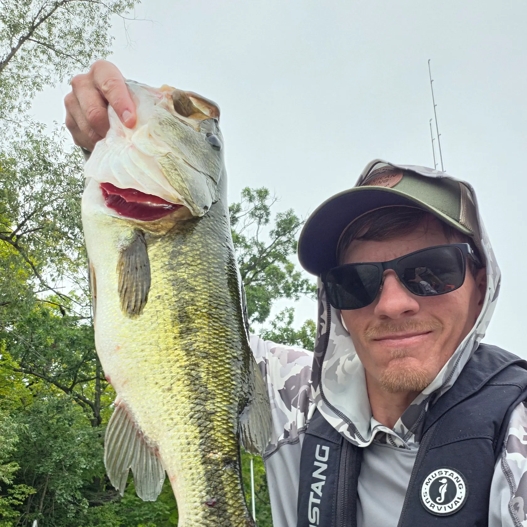 Largemouth bass caught on Fishbrain