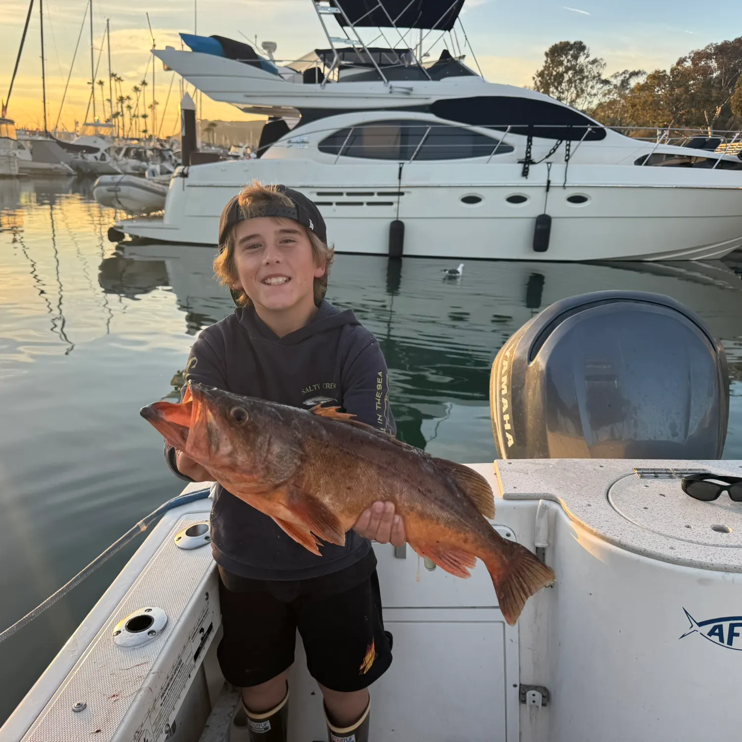 The most recent Bocaccio rockfish catches on Fishbrain