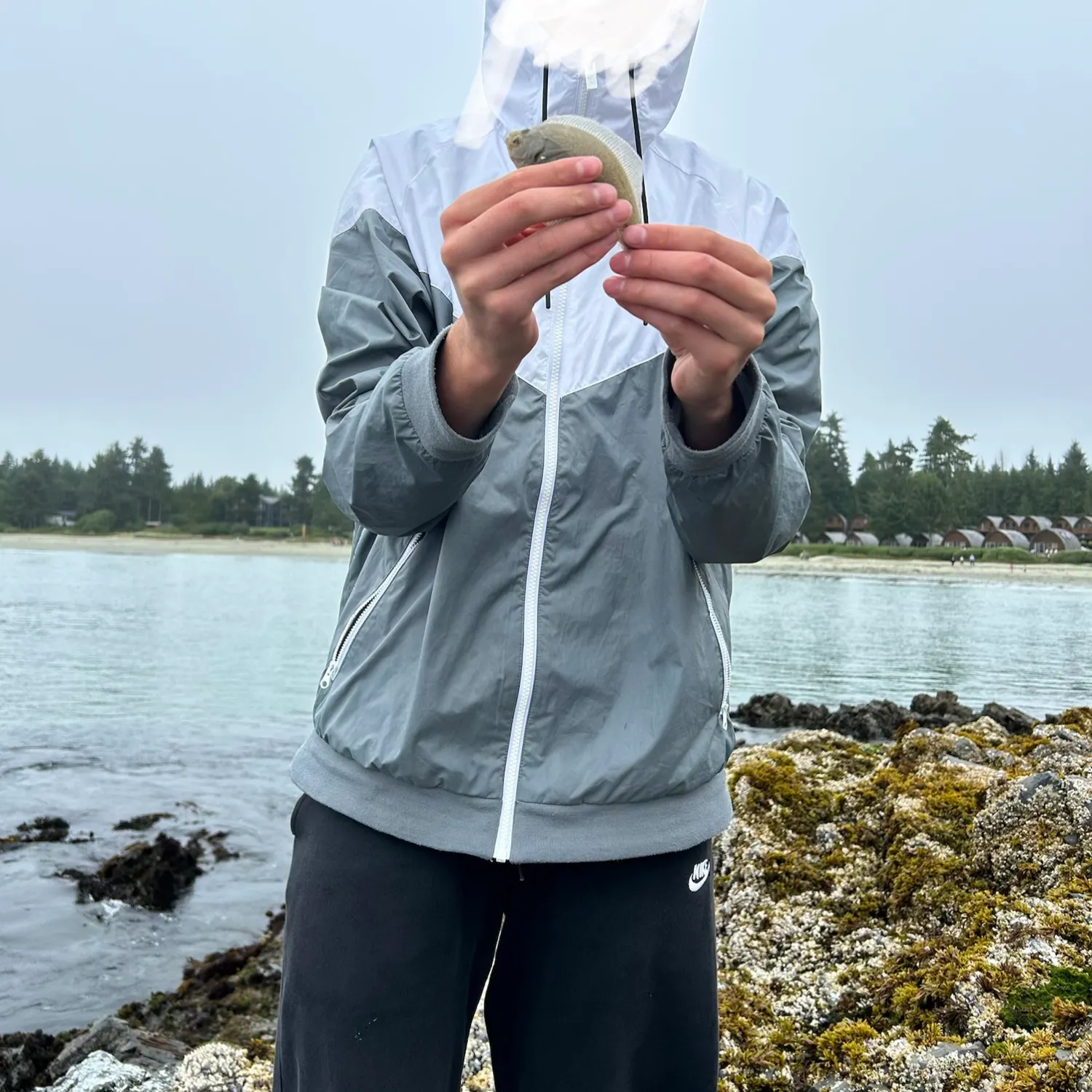 The most recent Southern flounder catches on Fishbrain