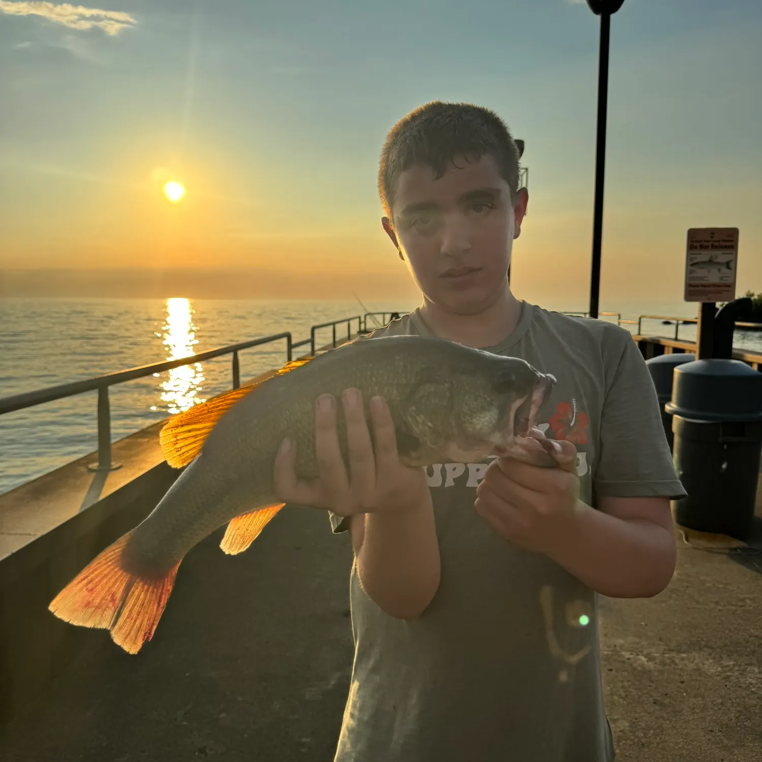 catch