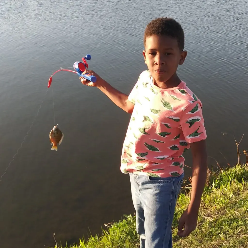 The most recent Pumpkingill hybrid catches on Fishbrain