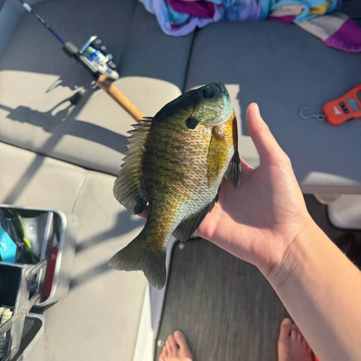 catch