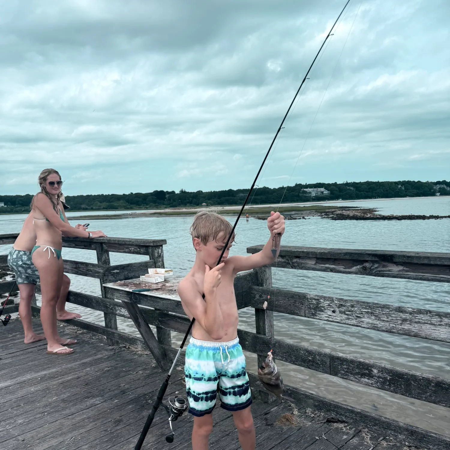 The most recent Silver porgy catches on Fishbrain