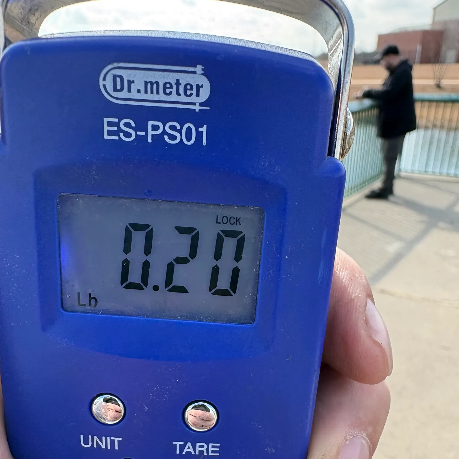 The most recent Rainbow trout catches on Fishbrain