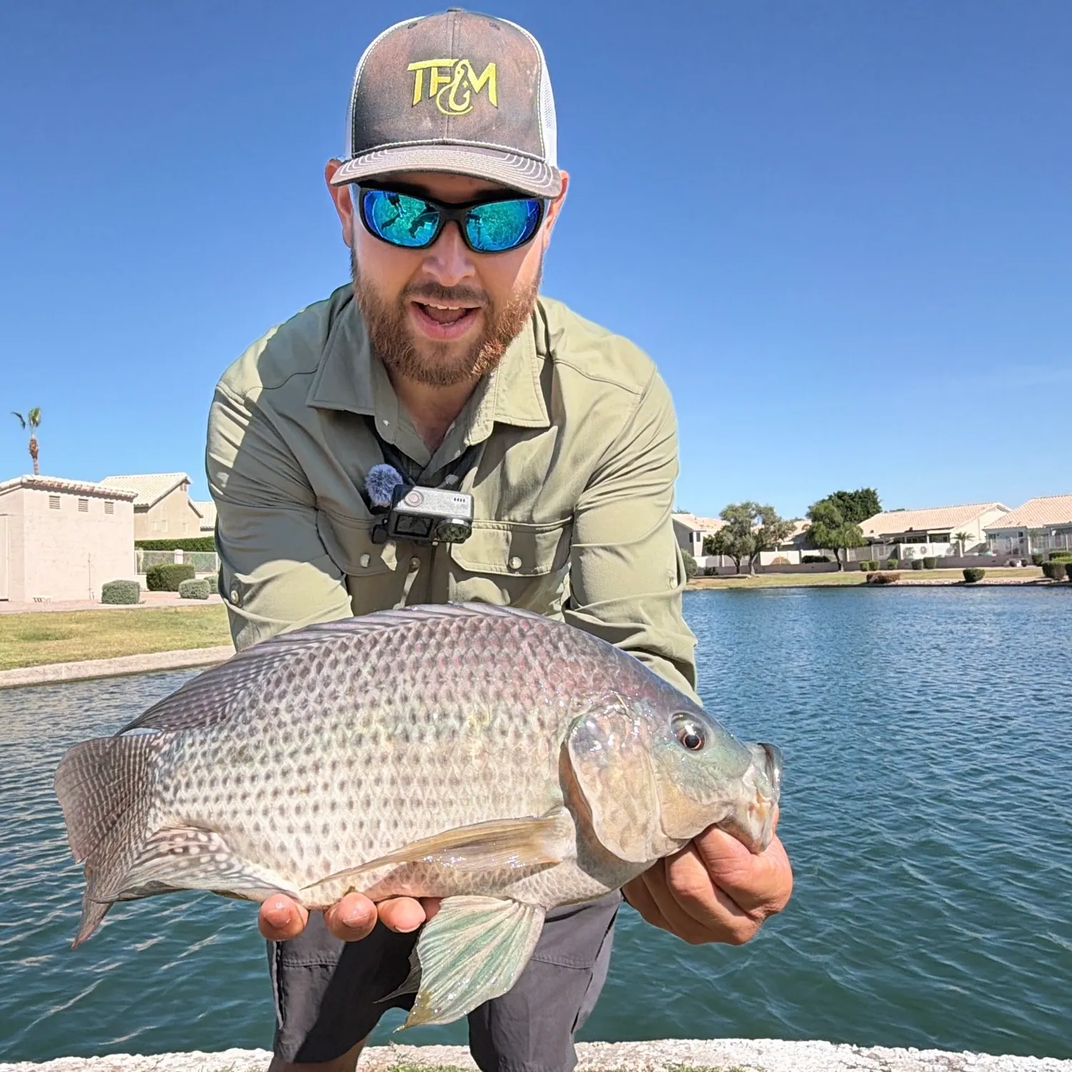The most recent Blue tilapia catches on Fishbrain