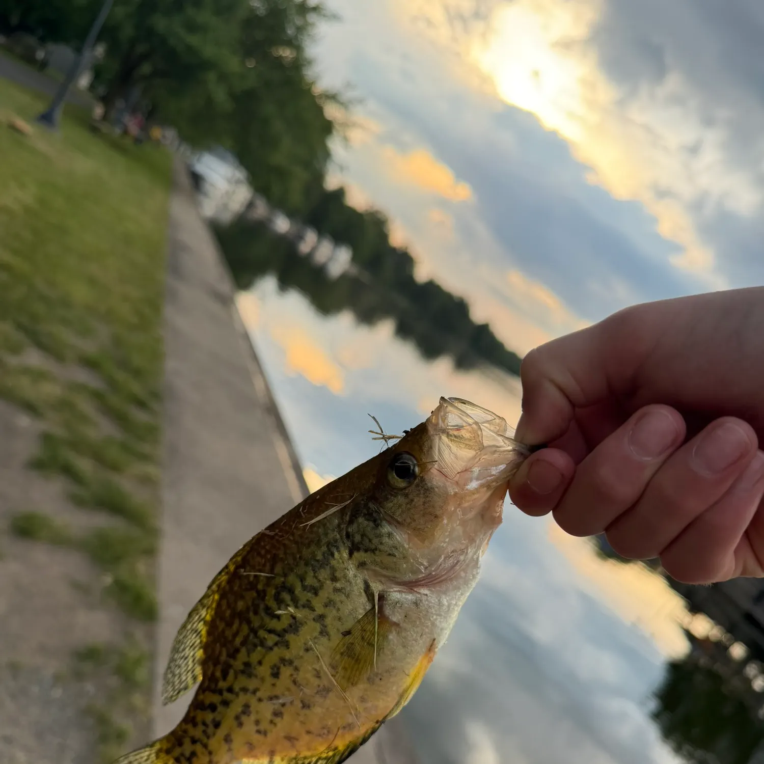 catch