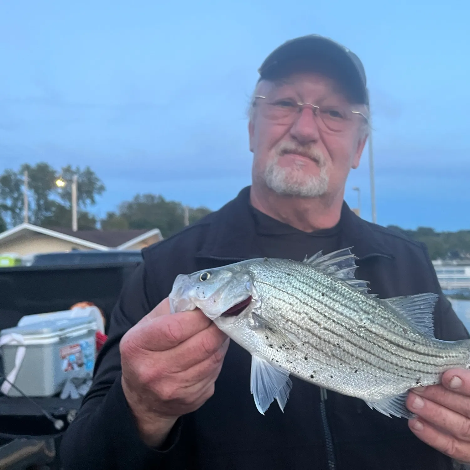 Wiper caught on Fishbrain