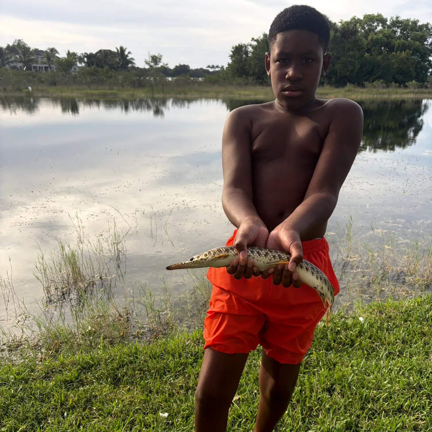 The most recent Florida gar catches on Fishbrain